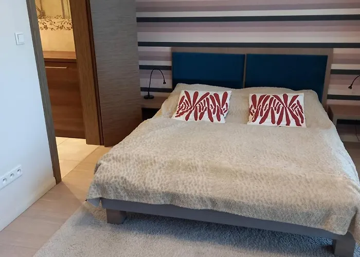 With An Amazing View *